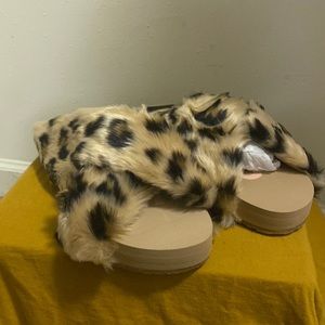 Toms Leopard Slides